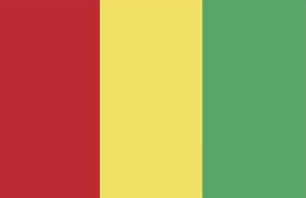 GUINEE drapeau
